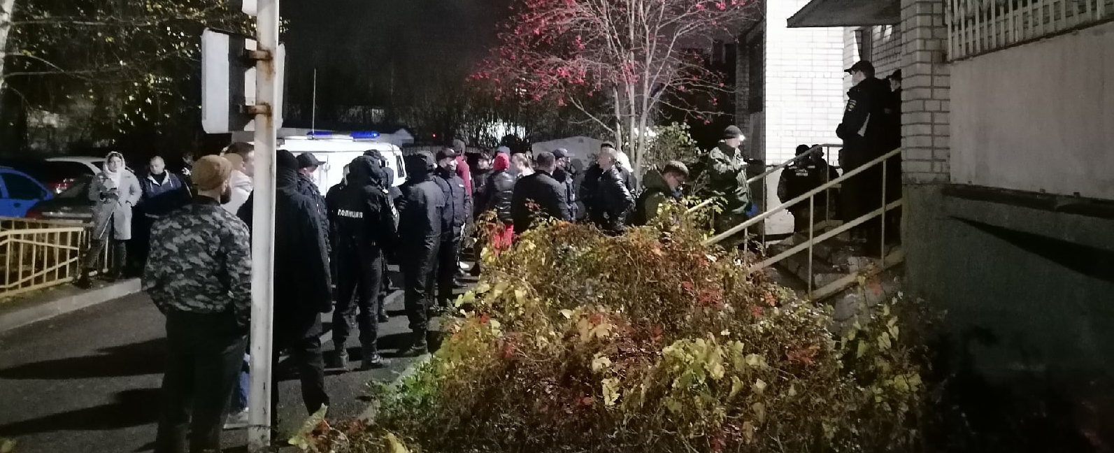 София Новый Год Видео София Новый Год Видео